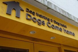 Dogs_Come_home看板