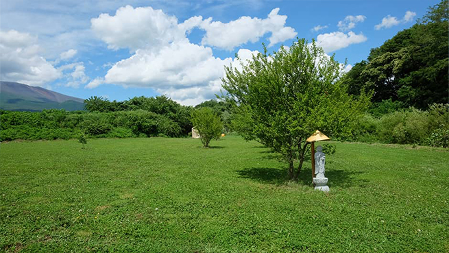 綺麗に整備された緑地