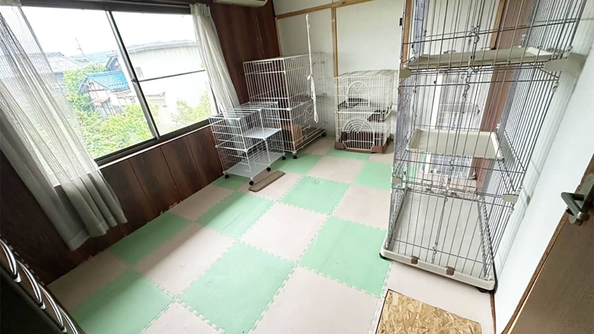 飼い主さんも安心 Catホッと_猫ちゃんのお部屋
