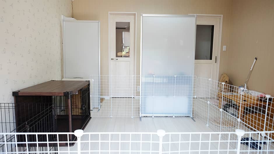 保護猫カフェ＆老犬老猫ホーム Kaipooh_施設内観