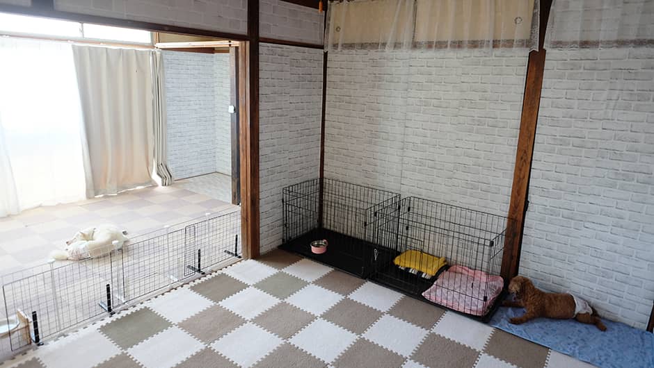 最期まで一緒に！くっきぃホーム_ワンちゃんのお部屋