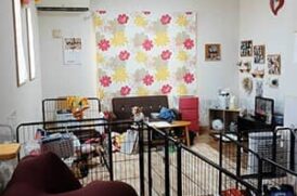 老犬介護ホームてるハウス_施設内観